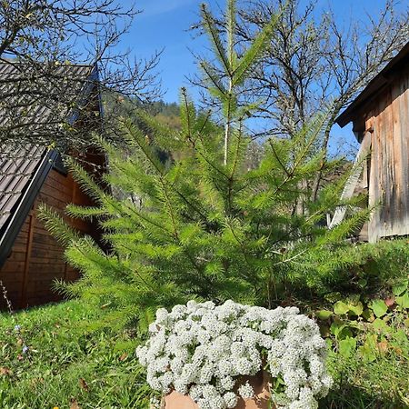 Vikendica NEVEN Villa Zaovine Buitenkant foto