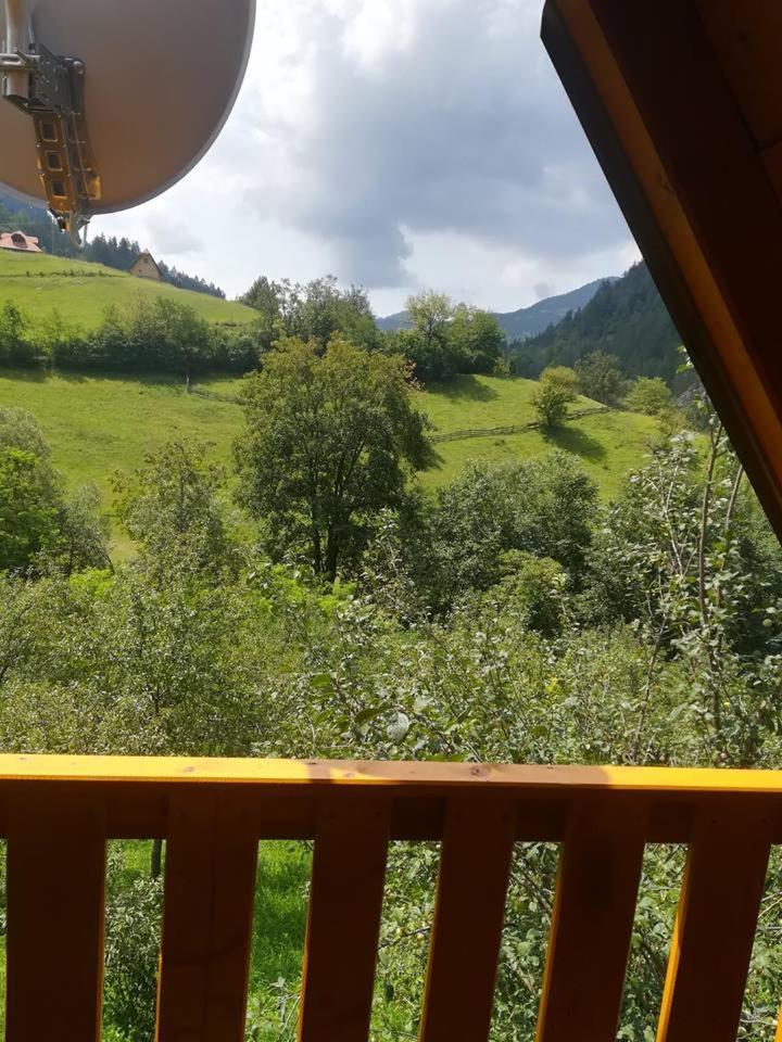 Vikendica NEVEN Villa Zaovine Buitenkant foto